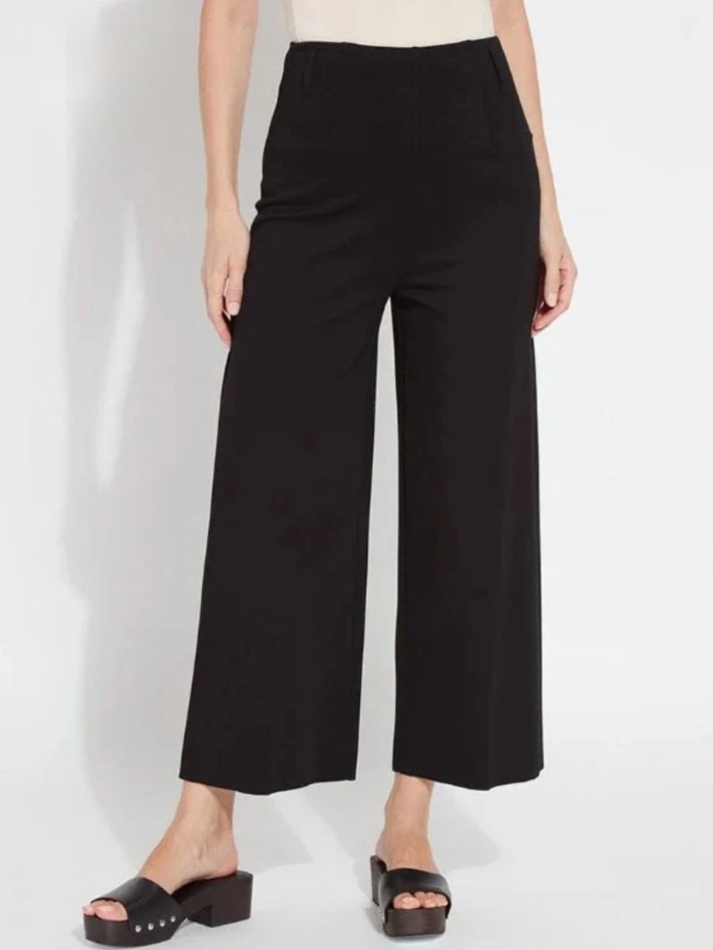 Lysse Black Wide-Leg Cropped Pants Crop Medium Minimalist Office Work Wear